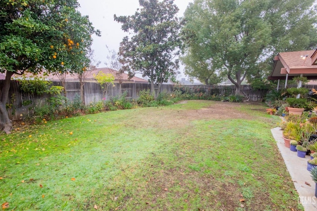 view of yard featuring a fenced backyard