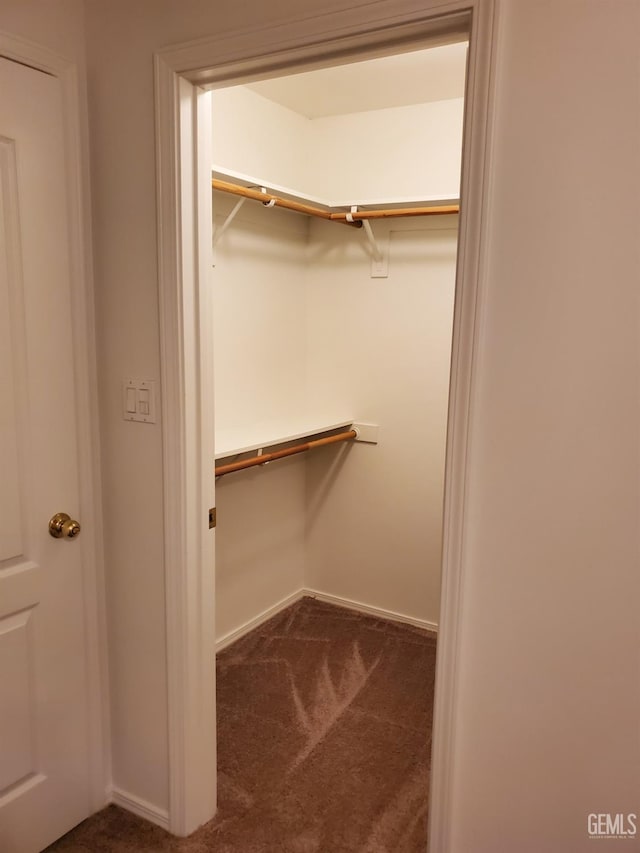 walk in closet with dark carpet