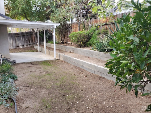 view of yard featuring a patio area