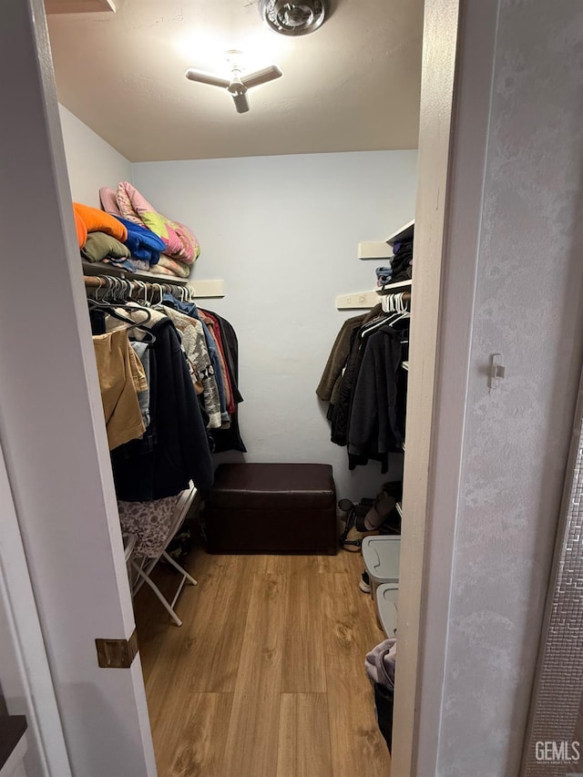 2404 Belvedere Ave, Bakersfield, CA 93304 - walk in closet featuring wood finished floors