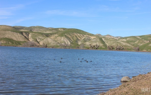 13160 Game Set Way, Bakersfield, CA 93306 - water view with a mountain backdrop