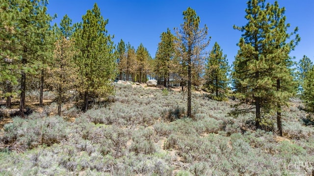 27181 Stirrup Way, Tehachapi CA, 93561 land for sale