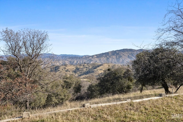 view of mountain feature