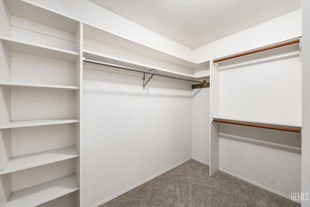 7310 Clifftop Way, Bakersfield, CA 93306 - walk in closet with carpet