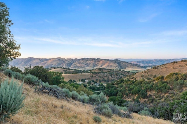 23700 Reindeer Dr, Tehachapi, CA 93561 - photo 39