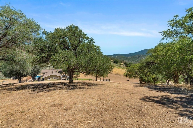 23700 Reindeer Dr, Tehachapi, CA 93561 - photo 41