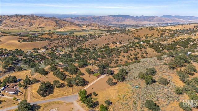 23700 Reindeer Dr, Tehachapi, CA 93561 - photo 50