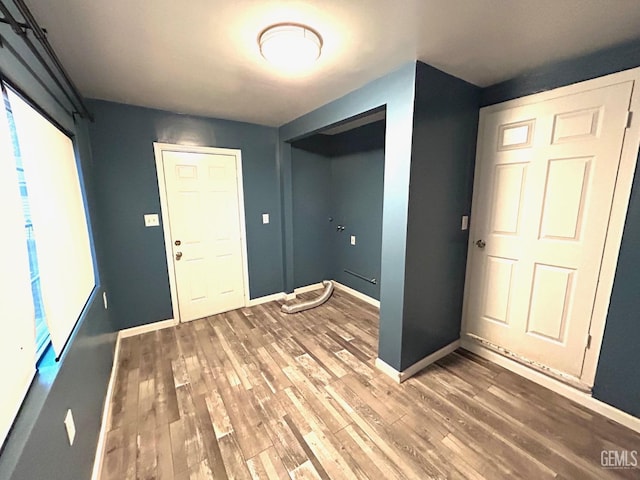 entrance foyer featuring wood-type flooring