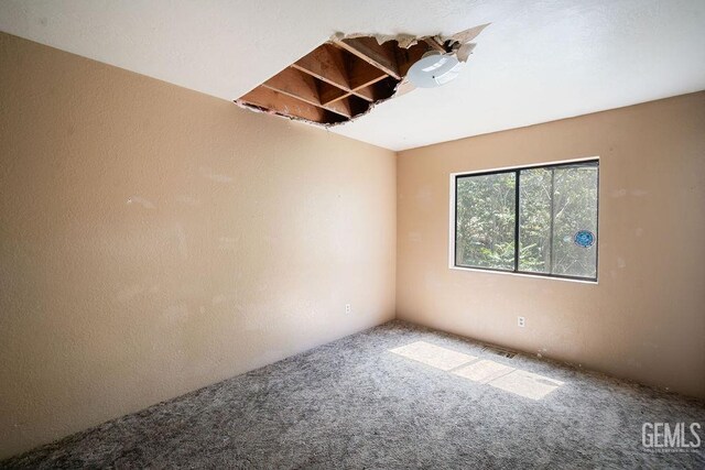 4120 Willow Trl, Frazier Park, CA 93225 - unfurnished room with carpet floors