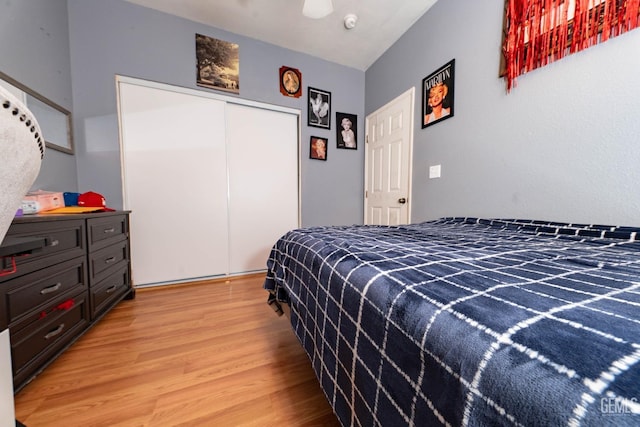 bedroom with a closet and wood-type flooring