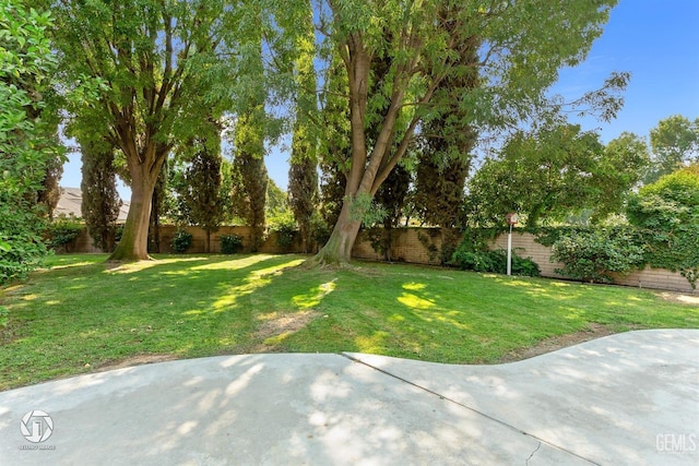 view of yard featuring a fenced backyard and a patio