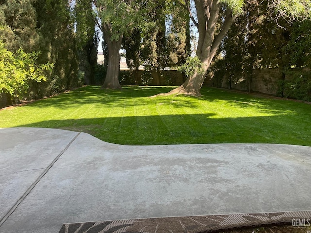 view of yard featuring a patio and a fenced backyard