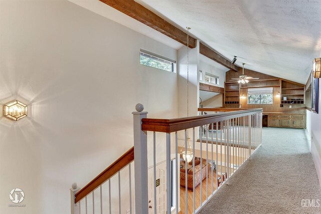 corridor featuring high vaulted ceiling, plenty of natural light, carpet, and beam ceiling