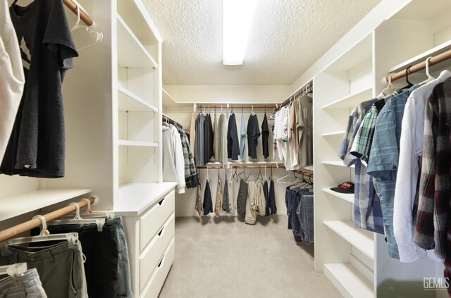 7001 Eloy Ave, Bakersfield, CA 93308 - walk in closet featuring light carpet