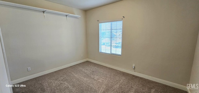 spare room featuring carpet