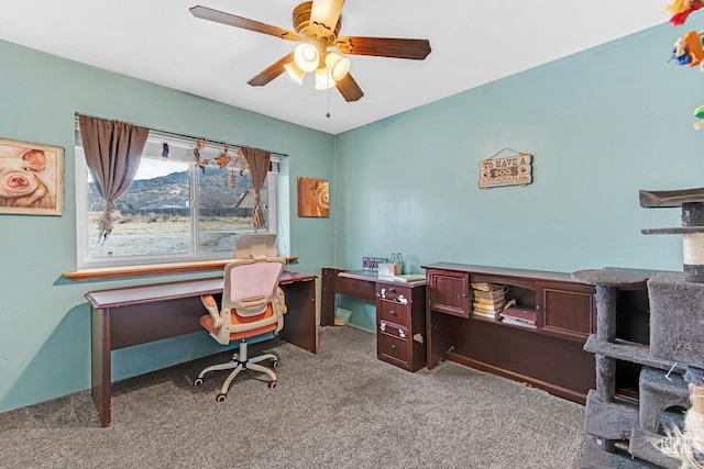 18181 Bowie St, Tehachapi, CA 93561 - photo 12
