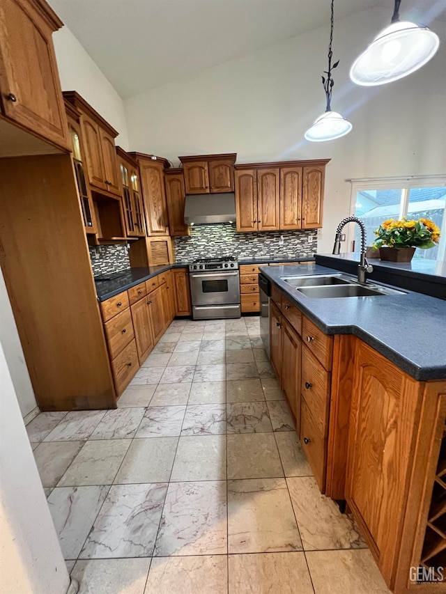 3205 Petite Sirah St, Bakersfield, CA 93306 - kitchen with appliances with stainless steel finishes, under cabinet range hood, high vaulted ceiling, tasteful backsplash, and dark countertops