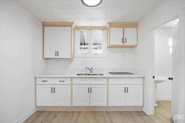 kitchen with light wood-type flooring and sink