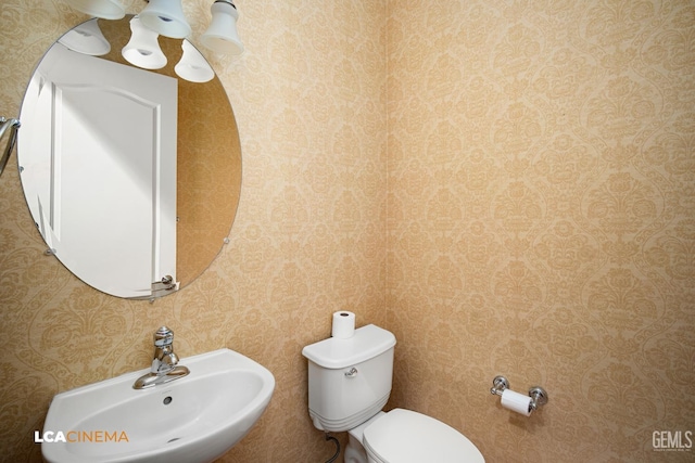 bathroom with toilet and a sink