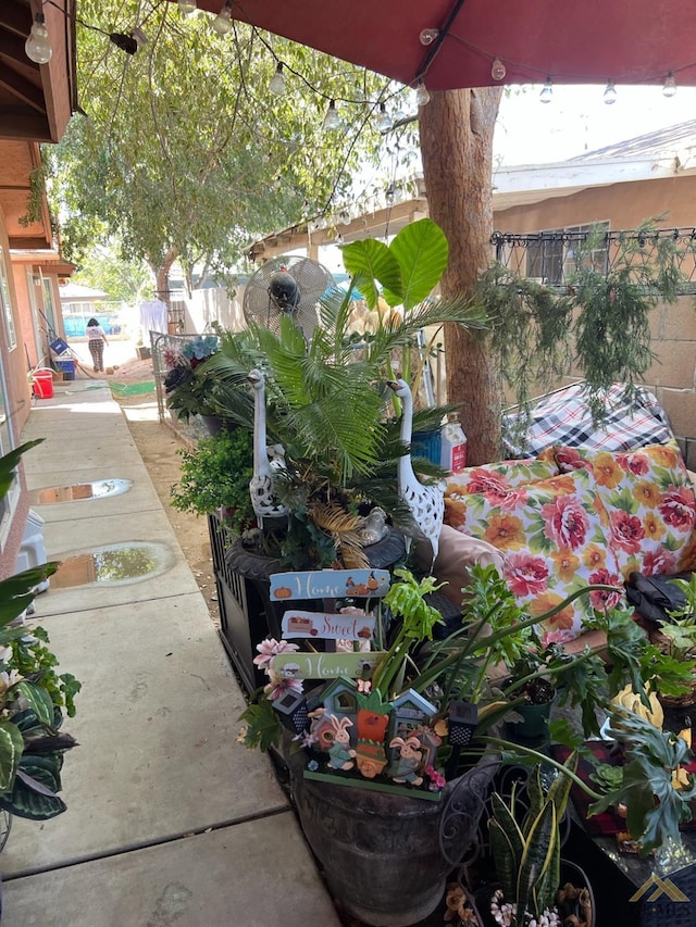 view of yard featuring a patio area