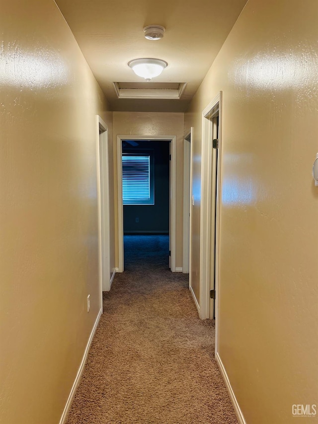 6631 Rimridge Way, Bakersfield, CA 93313 - photo 13