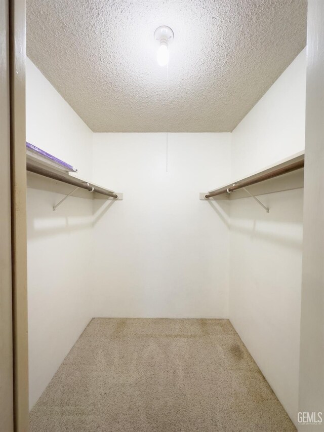 spacious closet featuring carpet