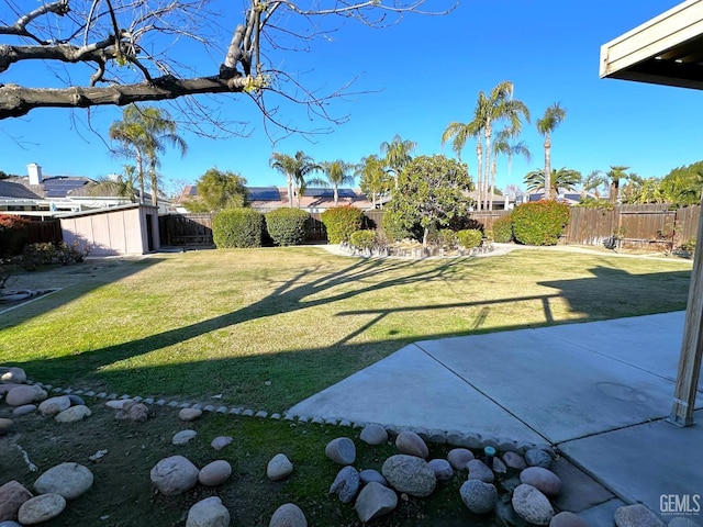 view of yard featuring a patio area