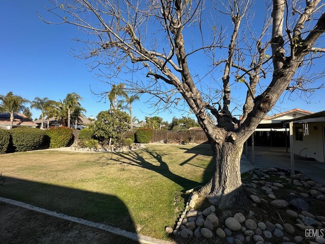 view of yard featuring a patio