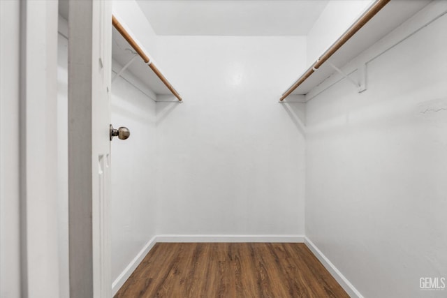 walk in closet with dark hardwood / wood-style flooring