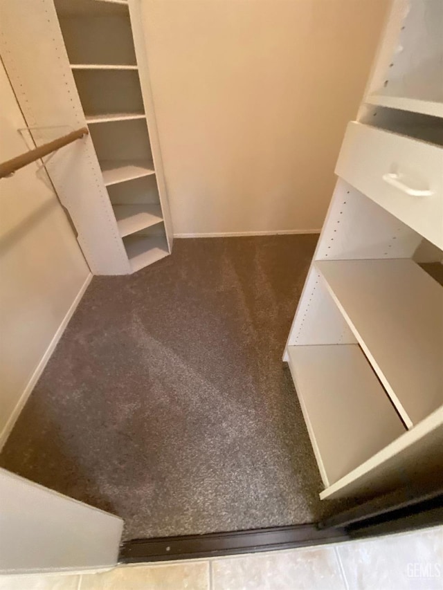 1912 Mountain Oak Rd, Bakersfield, CA 93311 - walk in closet with carpet