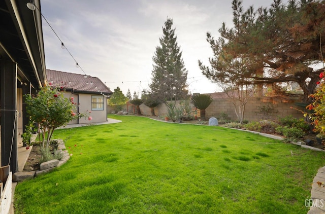 rear view of house with a patio, a tiled roof, fence, a yard, and stucco siding