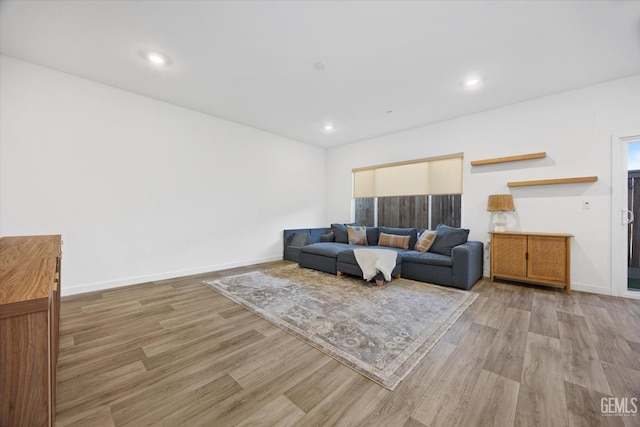 living room featuring light wood-type flooring