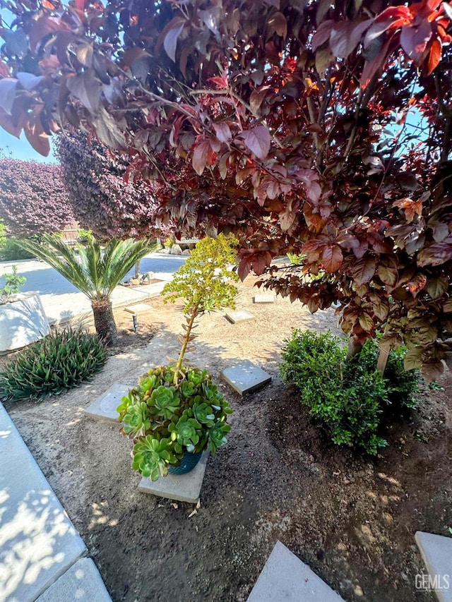 15209 Aldridge Ave, Bakersfield, CA 93314 - view of yard