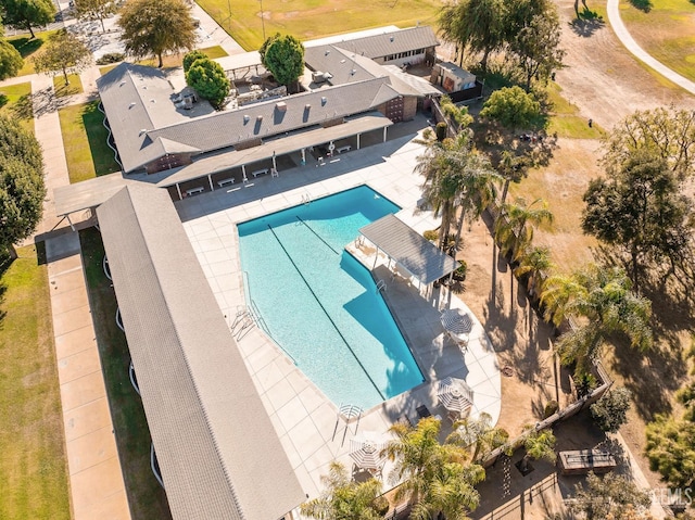 view of swimming pool