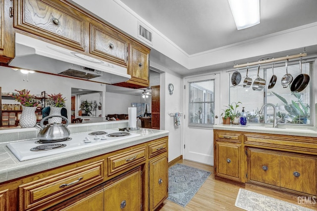 kitchen with ceiling fan, sink, light hardwood / wood-style flooring, white electric cooktop, and crown molding