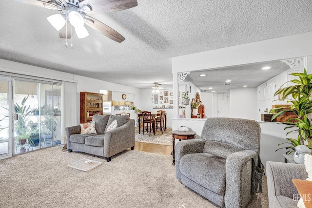 living room with carpet flooring and a textured ceiling