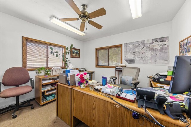 carpeted home office with ceiling fan