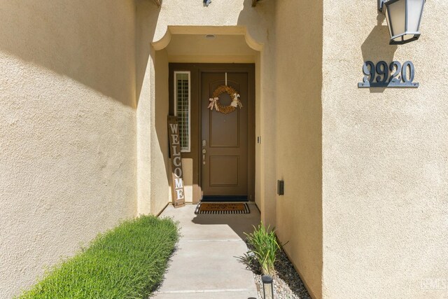 view of exterior entry featuring stucco siding