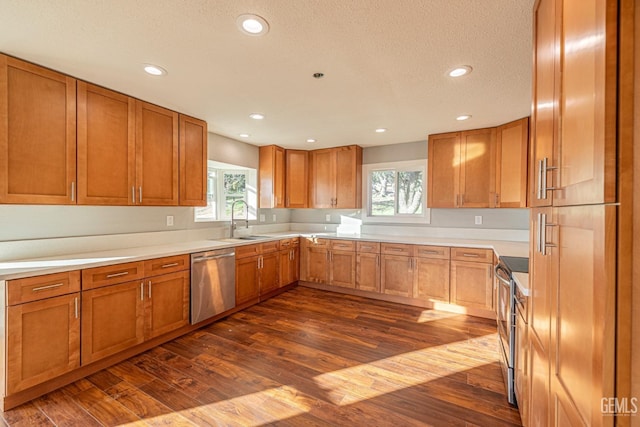 kitchen featuring dark hardwood / wood-style flooring, stainless steel appliances, a healthy amount of sunlight, and sink