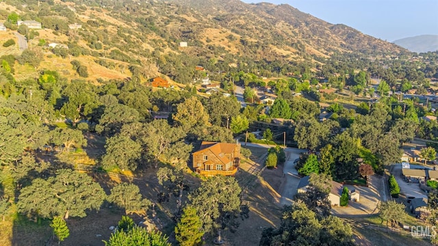 drone / aerial view featuring a mountain view