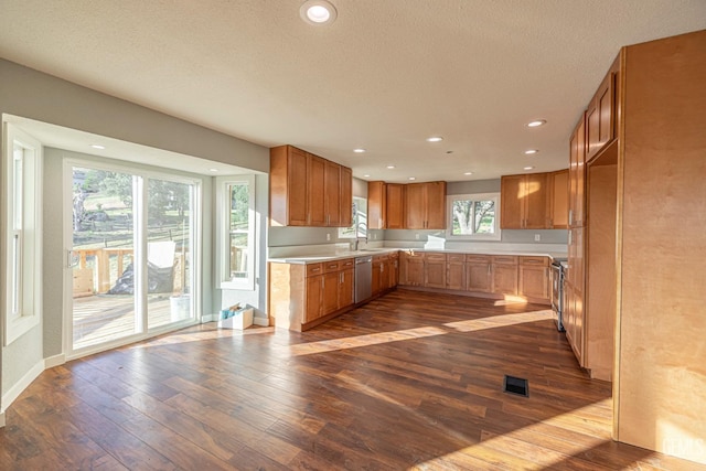 kitchen featuring a healthy amount of sunlight, dark hardwood / wood-style flooring, sink, and appliances with stainless steel finishes