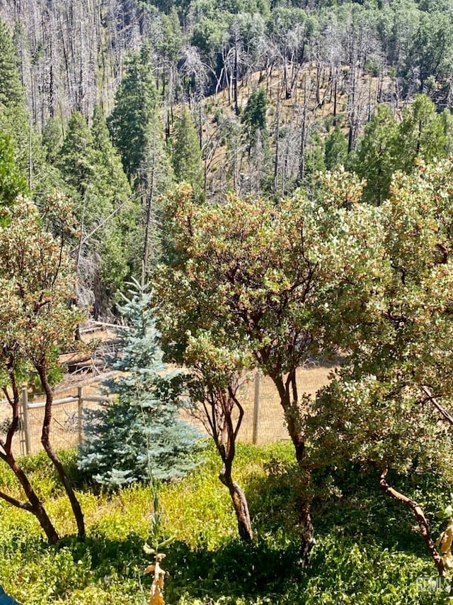 45842 Park Dr, Posey, CA 93260 - exterior space with a view of trees