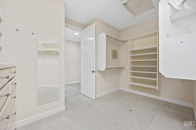 view of spacious closet