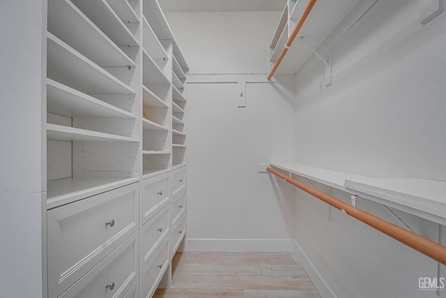 6800 Eagle Cap St, Bakersfield, CA 93313 - spacious closet featuring light wood finished floors