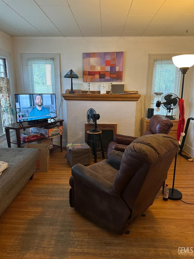 living room featuring a wood stove, a wealth of natural light, and hardwood / wood-style floors