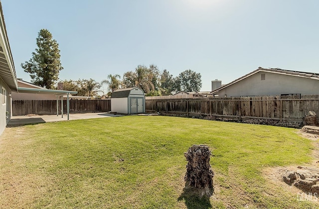 view of yard with a patio area and a storage unit