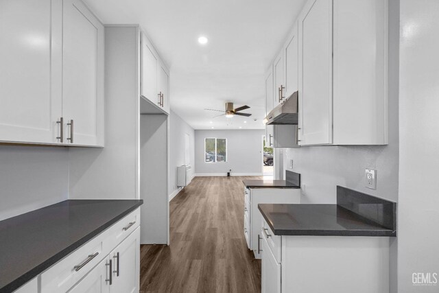 kitchen with white cabinetry, radiator heating unit, ceiling fan, and dark wood-type flooring