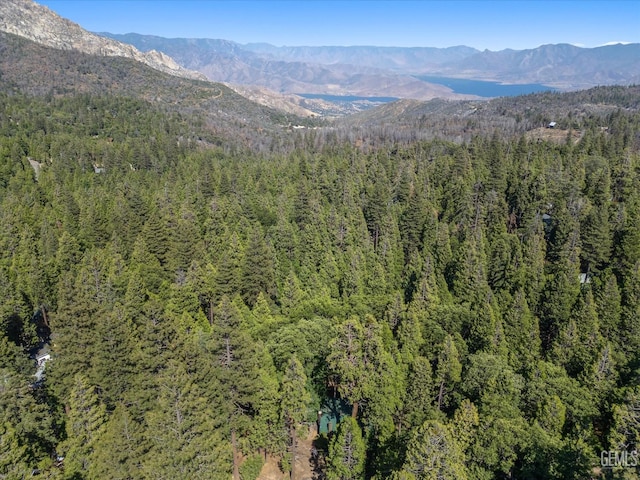 8733 Old State Rd, Wofford Heights, CA 93285 - photo 9