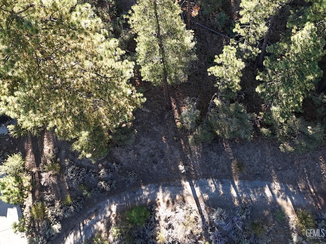 2000 Ironwood Dr, Pine Mountain Club, CA 93222 - photo 4
