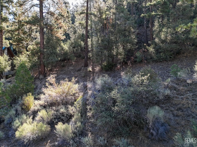 2000 Ironwood Dr, Pine Mountain Club, CA 93222 - photo 6